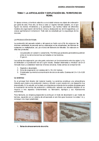 TEMA-7-La-articulacion-y-explotacion-del-territorio-en-Roma.pdf