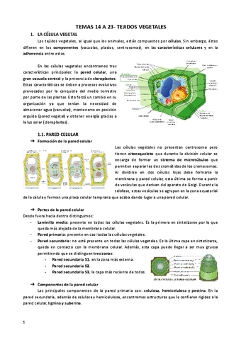 BIOCEL-II-TEMAS-14-23-1aParte.pdf