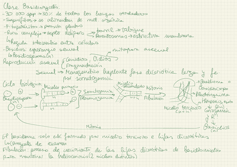 Tema-5-Division-Eumycota-III.pdf