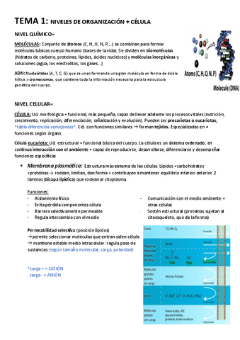 BLOQUE-1-Fisiologia-general.pdf