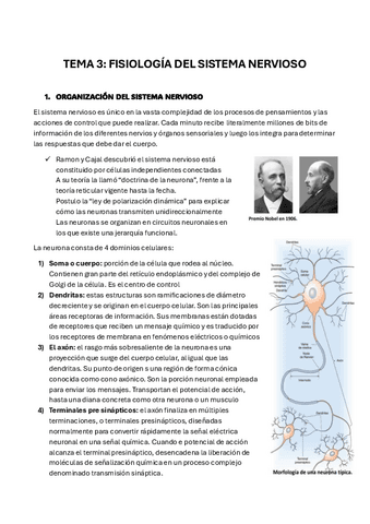fisiologia-tema-3.pdf