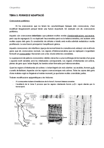 Tema-5-Formes-dadaptacio.pdf