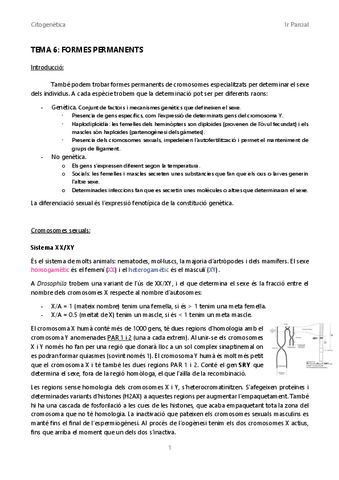 Tema-6-Formes-permanents.pdf