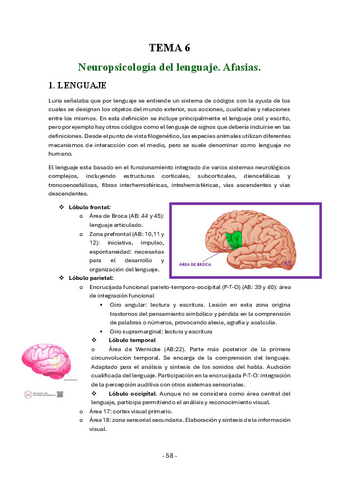 Tema-6-neuropsicologia-generalactualizados-23-24.pdf