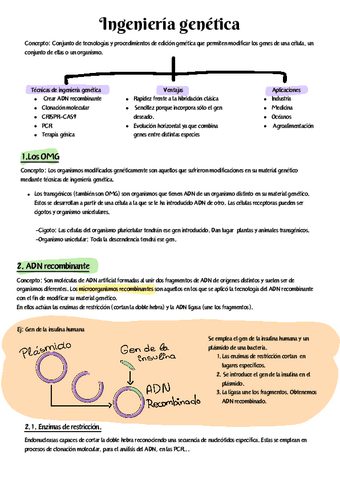 Biotecnología 1: Ingeniería genética (Actualizado).pdf