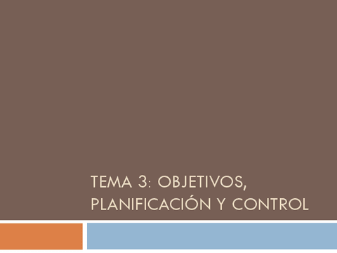 Tema-3-Objetivos-planificacion-y-control.pdf