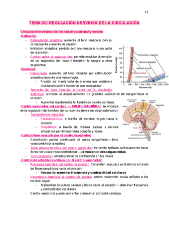 tema6C-regulacion-nerviosa-de-la-ciruculacion.pdf