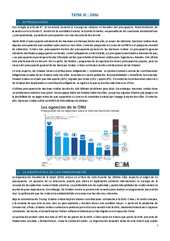 TEMA-VI-ONU.pdf