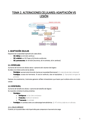 PDF-RESUMENES-ANATOPATO.pdf