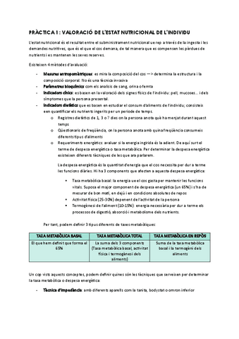 TOTES-LES-PRACTIQUES.pdf