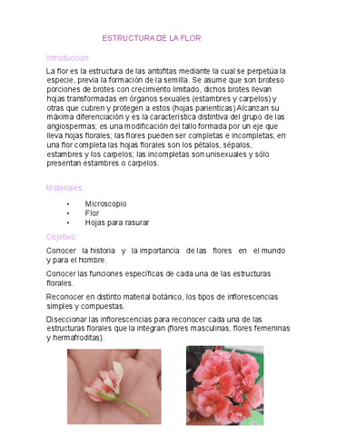 ESTRUCTURA-DE-LA-FLOR.pdf