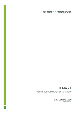 tema-21-carmen.pdf