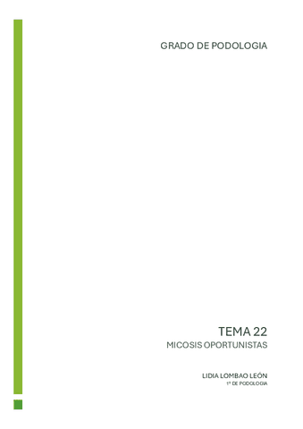 tema-22-carmen.pdf