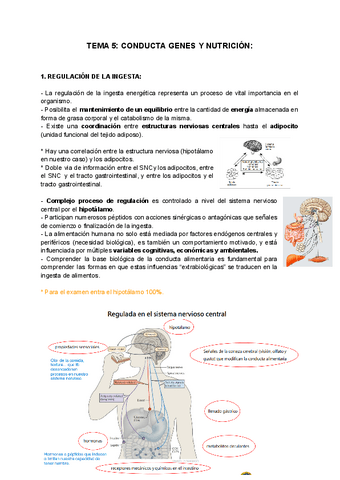 TEMA-5-CONDUCTA-GENES-Y-NUTRICION.pdf