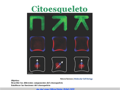 Sesion-19-y-20-Citoesqueleto2022-modificada-1.pdf