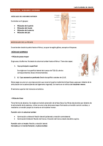 Miologia-MMII.pdf