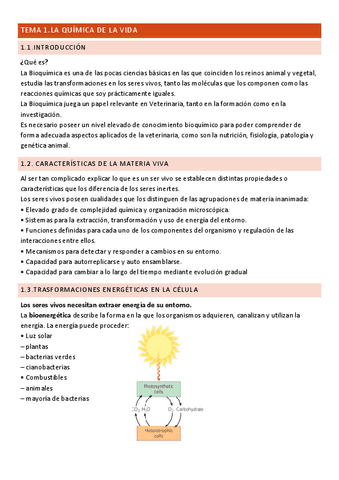 Tema-1.Bioquimica.pdf