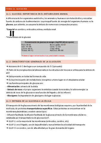 Tema-11.-Bioquimica.pdf