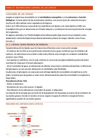 Tema-17-Bioquimica.pdf