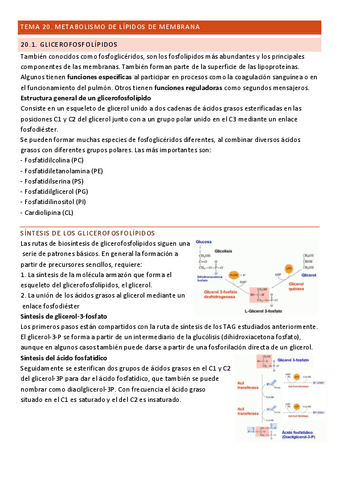 Tema-20-Bioquimica.pdf