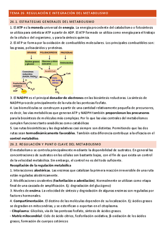 Tema-26-Bioquimica.pdf