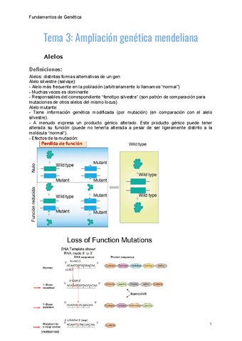 tema-3-genetica.pdf