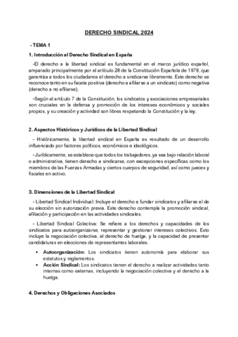 APUNTES-DERECHO-SINDICAL-2024.pdf