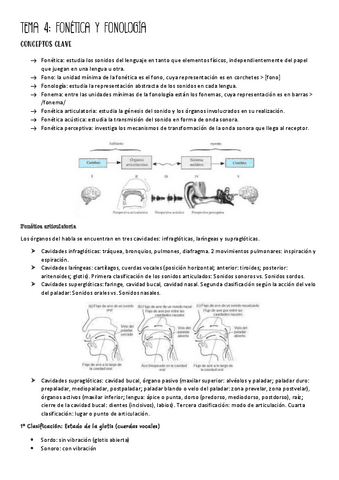 Tema-4-linguistica-parte-I.pdf