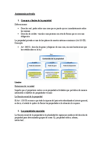 Tema 2: Autonomía privada (II).pdf