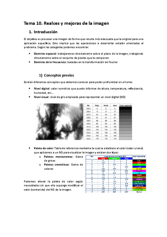 Tema-10.-Teledeteccion.pdf