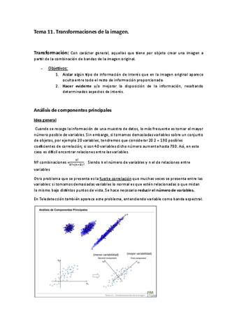 Tema-11.-Teledeteccion.pdf