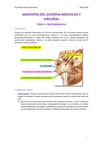 U.6.-PROTUBERANCIA.pdf