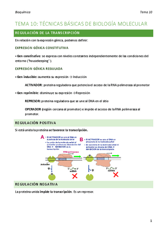 bioquimica-tema-10.pdf