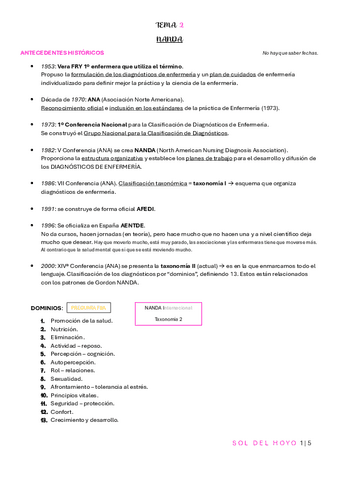 Tema-2NANDA.pdf