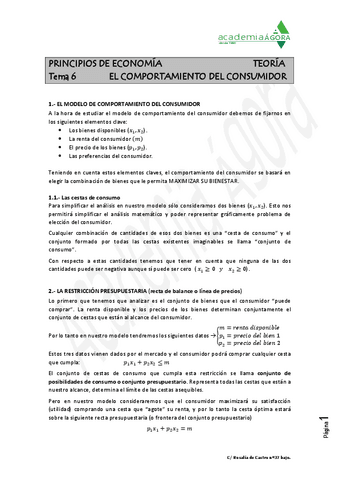 Tema-6.-El-consumidor.-1.-Teoria.pdf