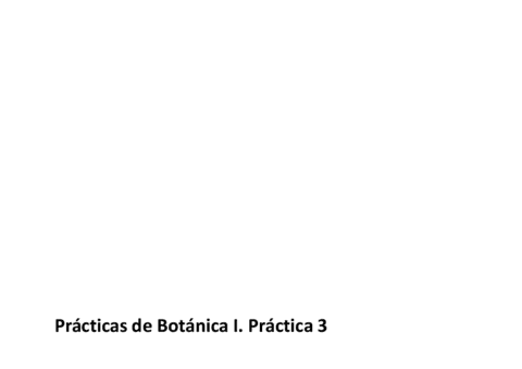 Fundamento-teorico-Practica-3.pdf