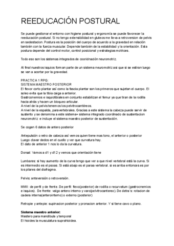 meif-2-resumen-de-practica.pdf