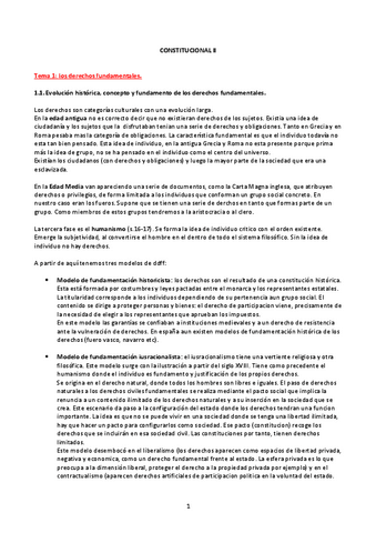 Constitucional-II.pdf
