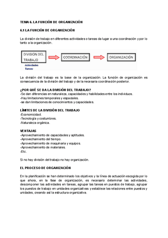 TEMA-6-ADMINISTRACION-DE-EMPRESAS.pdf