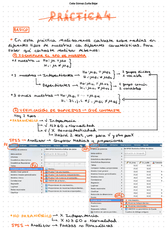 Manual-Practica-4.pdf