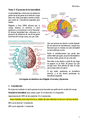Tema-3-EF-de-Base.pdf