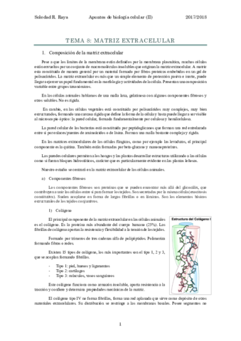 Tema 8- Matriz extracelular.pdf
