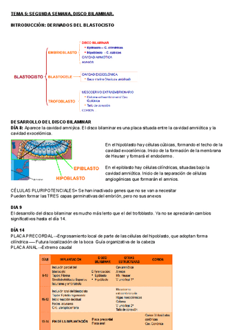 EMBRIOLOGIA-TEMAS-56.pdf