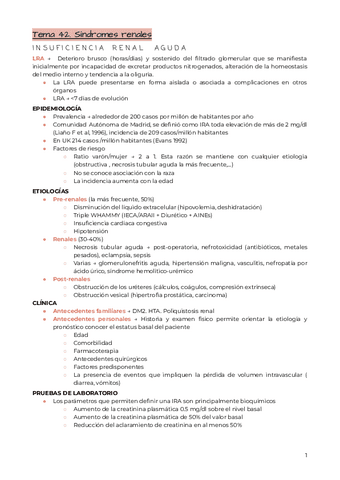 Tema-42.-Sindromes-renales.pdf