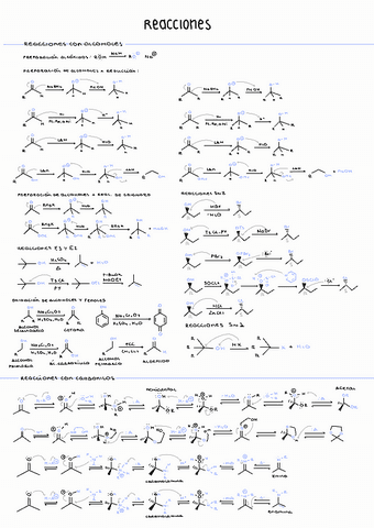 Resumen-reacciones.pdf