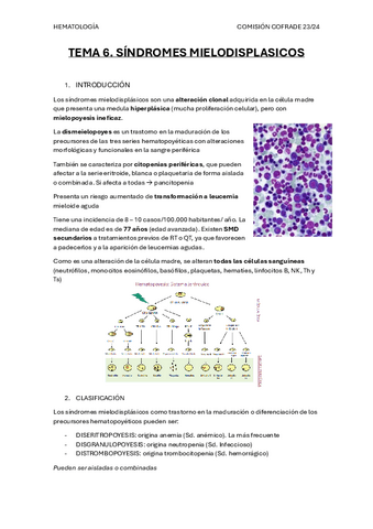 TEMA-6.-Sindromes-mielodisplasicos.pdf