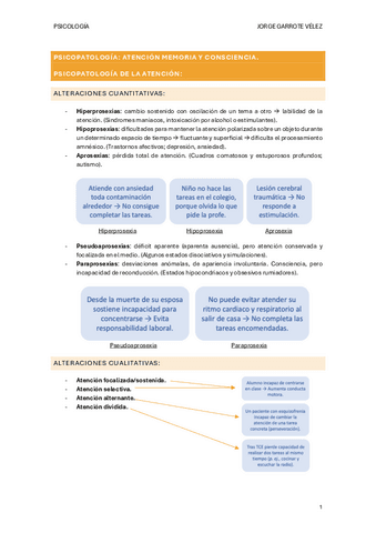 Seminario-13-Psicopatologia-de-la-atencion-memoria-y-consciencia.pdf