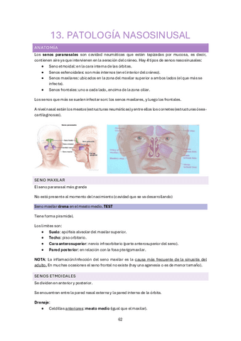 13.-Patologia-nasosinusal.pdf