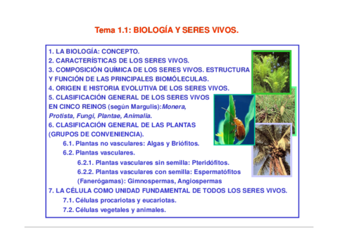Tema 1.1 B Biologia y seres vivos.pdf