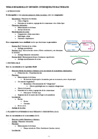 MICROBIOLOGIA-TEMA-8-DESARROLLO-Y-DIVISION-CITOESQUELETO-BACTERIANO.pdf